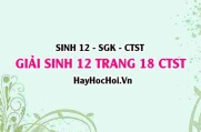 Giải Sinh 12 trang 18 Chân trời sáng tạo SGK